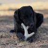 Ever Antler Nylon Chew Bone | Elk Antler Shaped Dog Toy for Aggressive Chewers | SodaPup