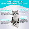 Calming Oil for Dogs Natural Anxiety and Stress Relief Pet Relaxation Aid